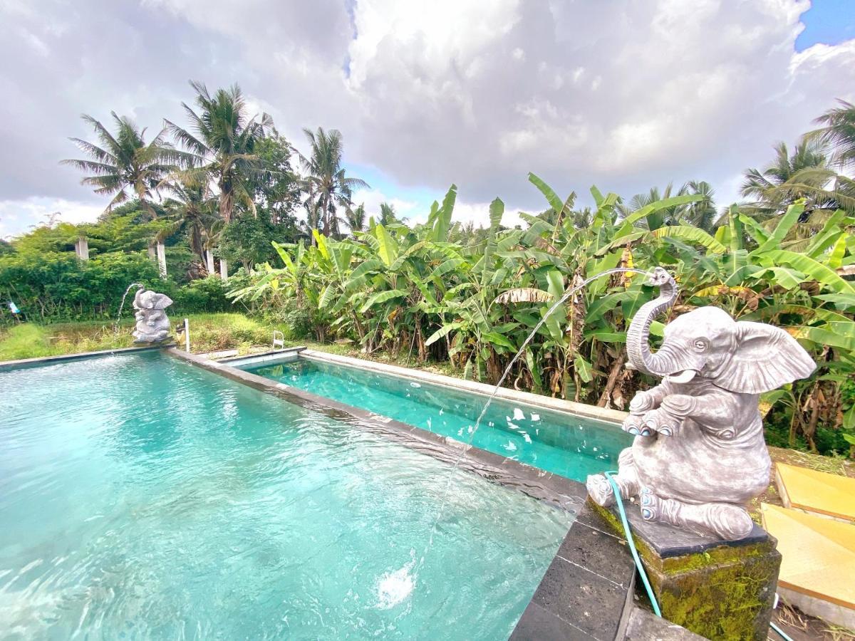 Ubud Rice Field House Екстериор снимка
