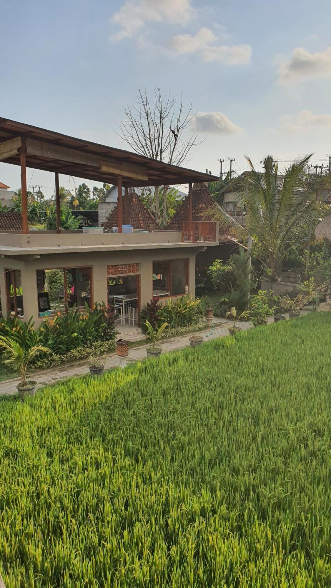 Ubud Rice Field House Екстериор снимка