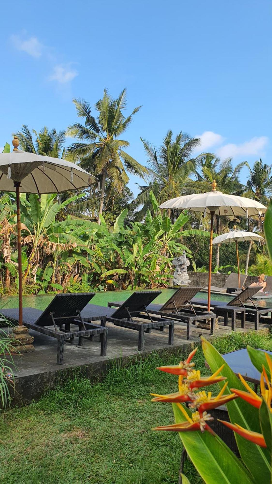 Ubud Rice Field House Екстериор снимка