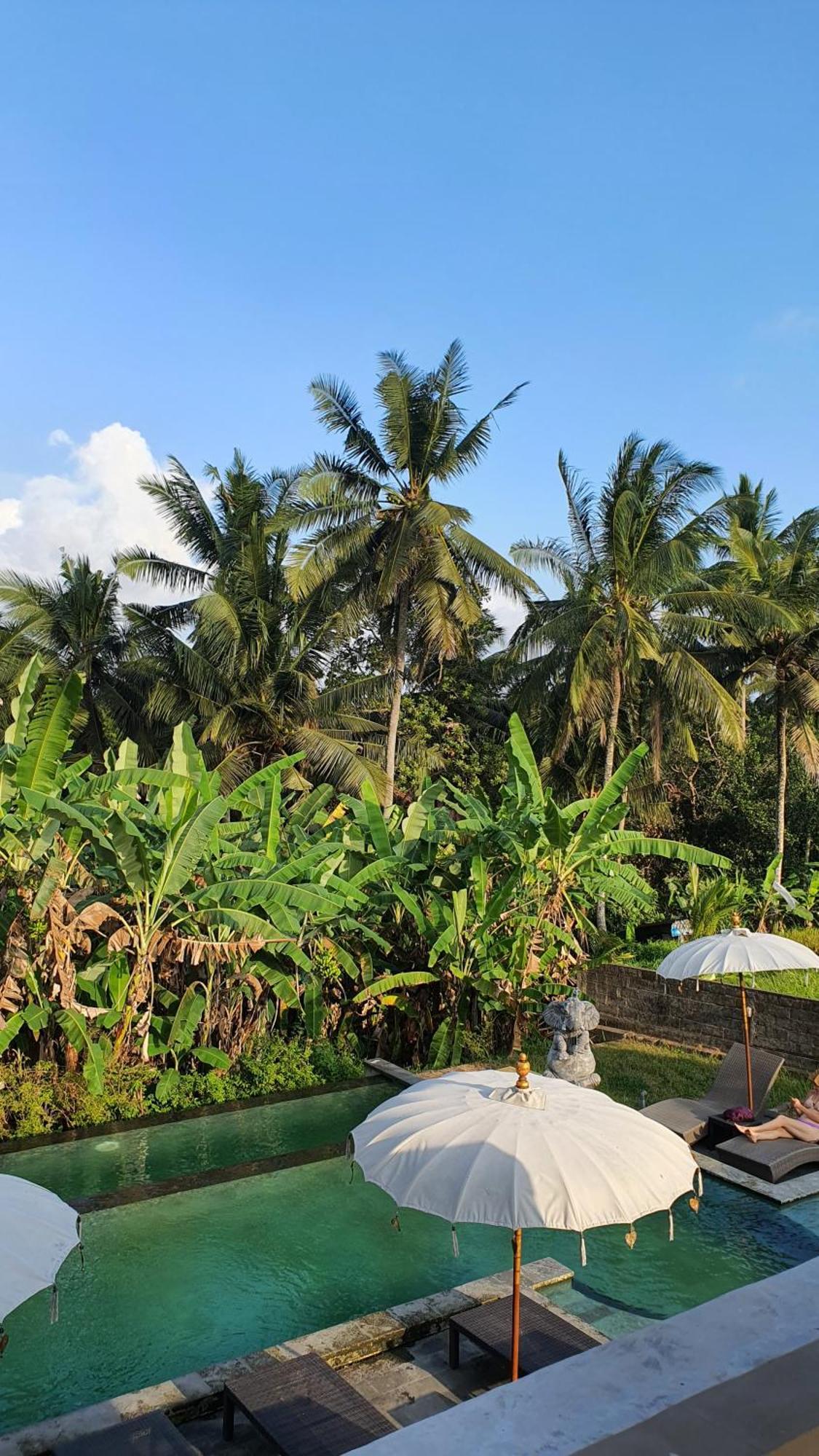 Ubud Rice Field House Екстериор снимка